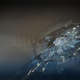 Illustration for article titled Can bird poop crack a windshield?